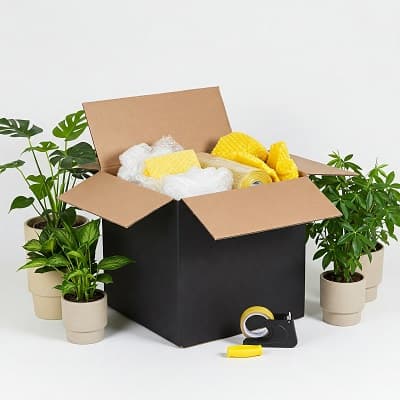 packing box